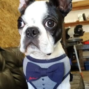 Meet your Posher, Patty